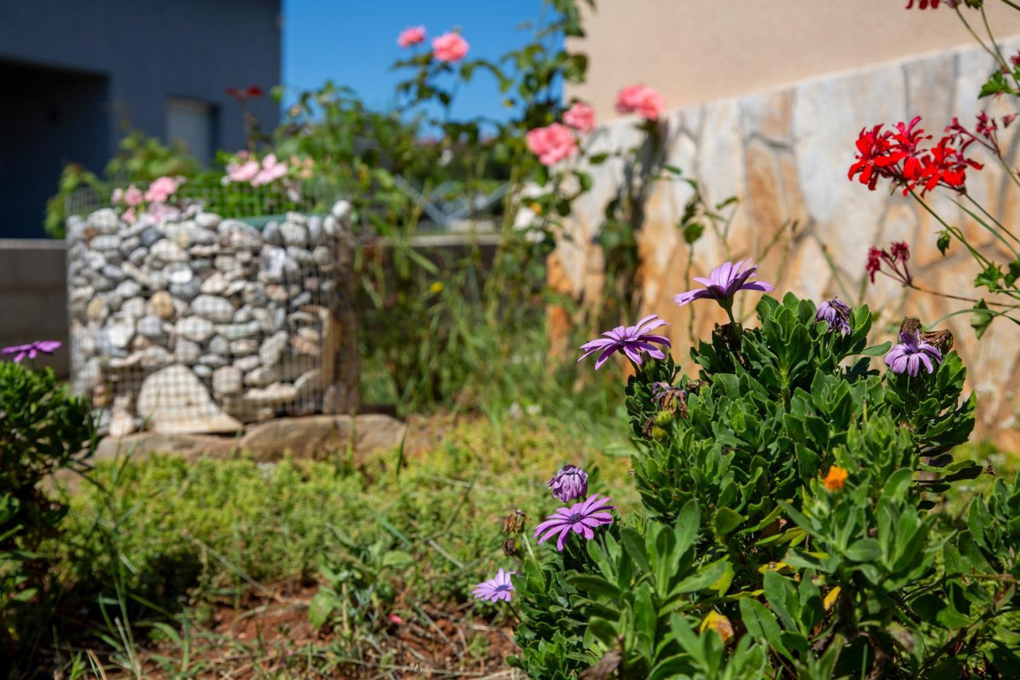 Apartman Viki Stinjan Πούλα Εξωτερικό φωτογραφία